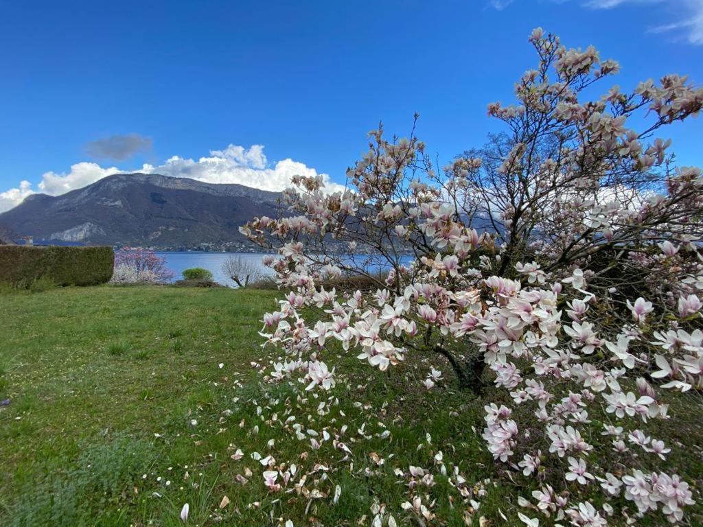 La Roseliere Sud, Vue Lac & Jardin Sévrier Екстериор снимка